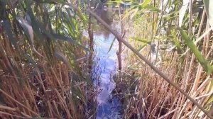 Как построить мостик летом для рыбалки своими руками ?