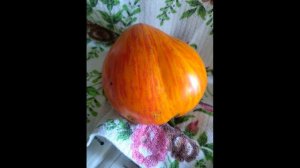 Высокоурожайный, вкусный и сладкий сорт томата Востор