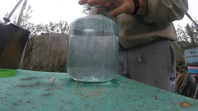 Как и чем травить клеща ВАРРОА у пчел, каждый решает са