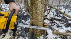 БЕНЗОПИЛА CHAMPION 254-18