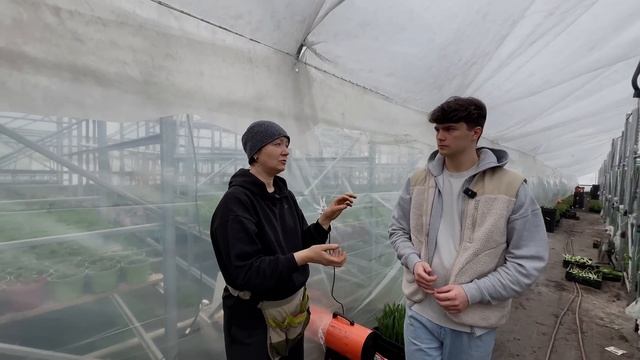 Начни прямо сейчас, чтобы успеть к 2026. Как зарабатыват?