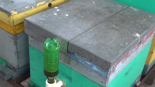 пчеловодство 2016