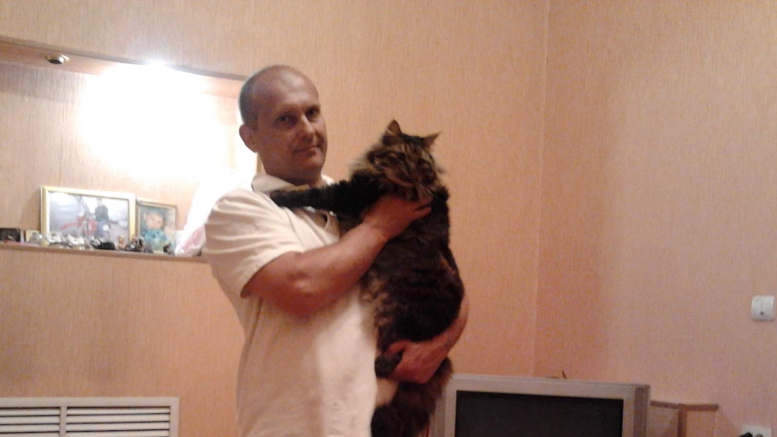 Кот Лева пришел делает ремонт
сентябрь 2025