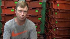 АТ259 Разведение червя Тигретта Наживка для магазинов ?