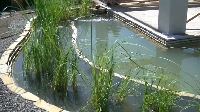 Пруд вокруг беседки (часть2) смотреть онлайн