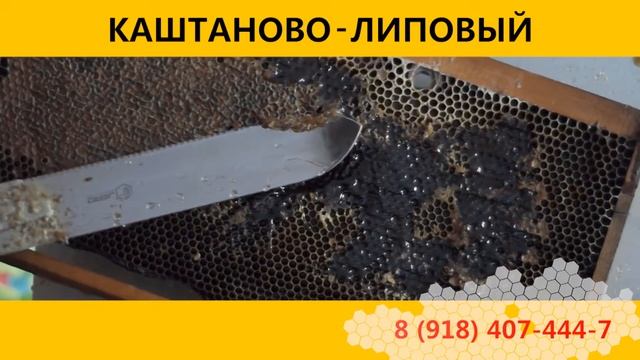 Каштановый мёд из Сочи. Продажа. 8 (918) 407 444 7 смотреть онлайн