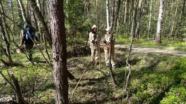 ВСЕ ВЕСЕННИЕ ГРИБЫ ТУТ 👀 Где растут сморчки и строчки