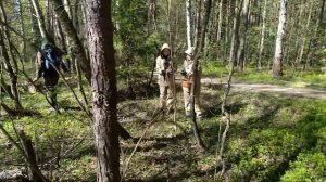 ВСЕ ВЕСЕННИЕ ГРИБЫ ТУТ 👀 Где растут сморчки и строчки