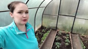 🚀 Как правильно РАЗМЕСТИТЬ ТОМАТЫ в теплице: секретн?