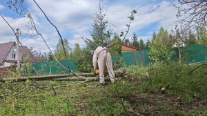 Купили заброшенный участок ЧАСТЬ#1. Первые проблемы.
