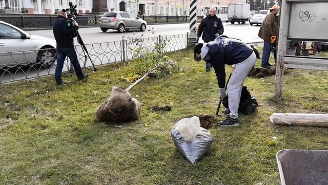 Высадка лип — г. Иваново | "Малинки" смотреть онлайн