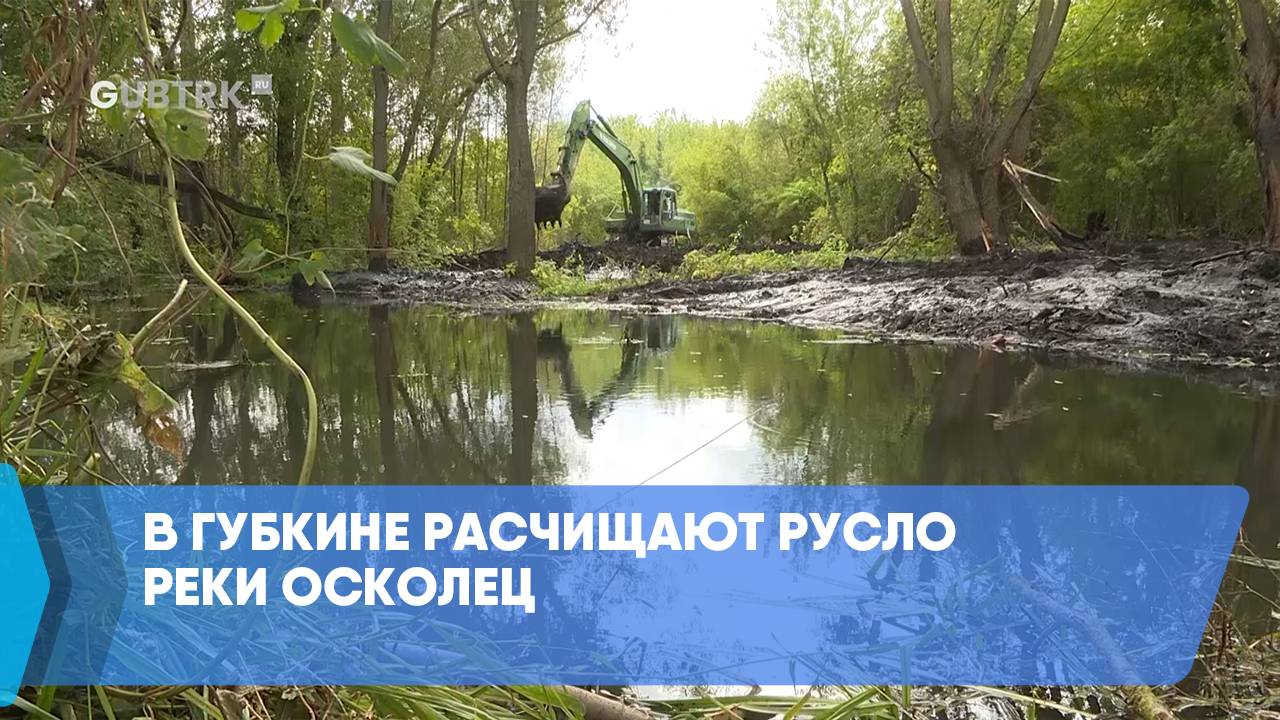 В Губкине расчищают русло реки Осколец смотреть онлайн