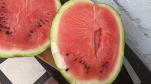 Арбуз сорта ПРОДЮСЕР