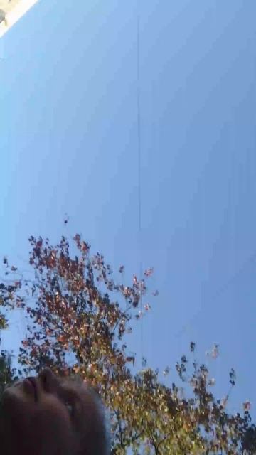 пр смотреть онлайн