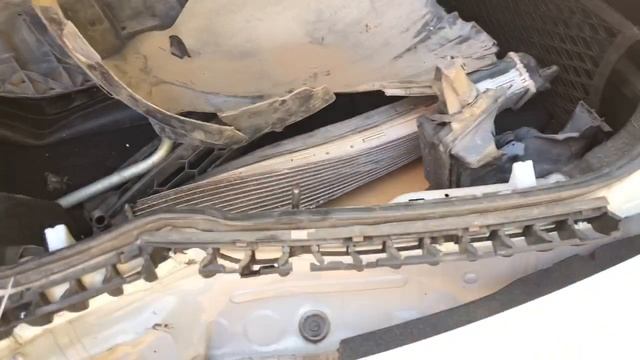 IMG_1486 смотреть онлайн