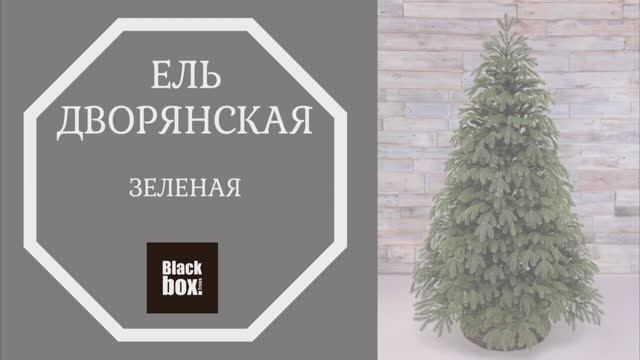 Black Box - Обзор искусственной ели Дворянская зеленая смотреть онлайн