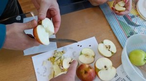 ДЕГУСТАЦИЯ СОРТОВ ЯБЛОНИ 14 10 23