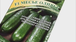 4 сорта гладких огурцов, без шипов: сравниваю и планиру