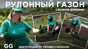 Рулонный газон своими руками — ПОЛНАЯ ИНСТРУКЦИЯ
