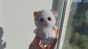 ПОПОЛНЕНИЕ 🎀10.09.25
МИНИ-ЛИЛИ
ЕЕ УГОЛОЧЕК 🫶НЕМНОЖКО О НЕЙ 💕