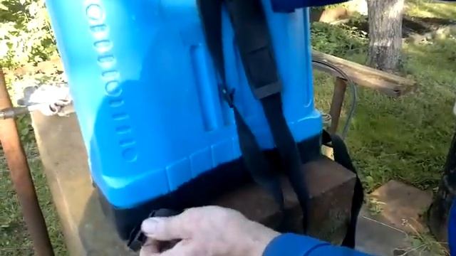 Инта-Вир на даче. Обработка плодово-ягодных деревьев и