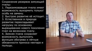 Разбор методов пчеловодства. ВСЁ О МЕТОДЕ БЛИНОВА.