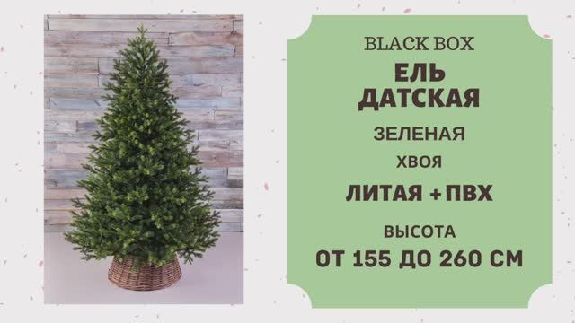 Black Box - ОБЗОР искусственной ели Датская зелёная смотреть онлайн