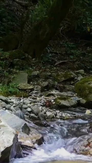 Песня Жизнь река