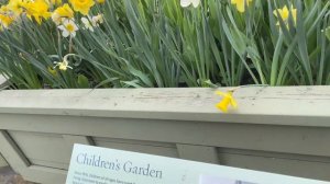 Инна Судакова \Скандальная правда! \Даже это не спасае?