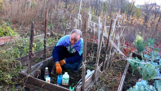 Вредители не уйдут в почву! Собрали урожай? Сделайте о?