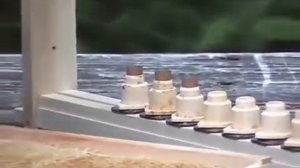 Система Никот для вывода пчелиных маток Франция (Nicot sys