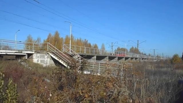 Октябрьская охота на поезда в Борском районе. Станция "Каликино" и о. п. "Шпалозавод" 8.10.2021 смотреть онлайн