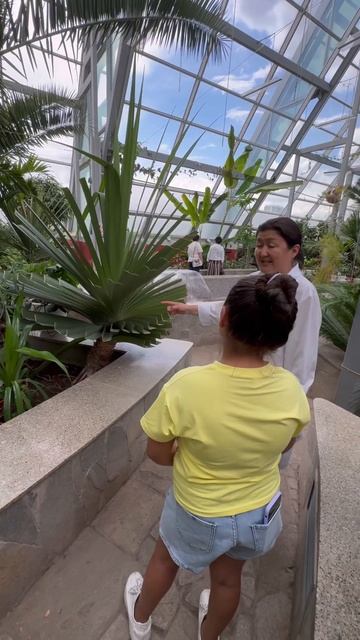 Ядовитые Растения в Ботаническом саду в Астане #tiktok #ree смотреть онлайн