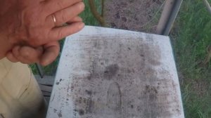 Вывод маток по методу Дж.  Хопкинса. Наглядно.