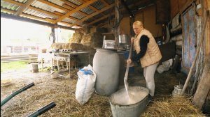 Моя Деревня на Алтае,управляюсь с хозяйством,с поросятами сложно справится