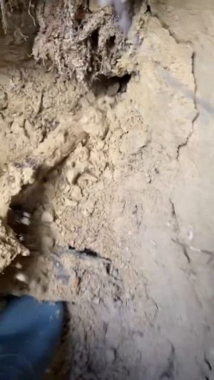 Коп по войне. Находки на дне блиндажа #shortsvideo #digging #ww2