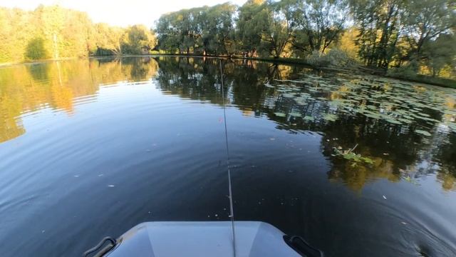 Спиннинг на р.Десна 10 сентября #рыболовтроицк #Троицк #десна #fishing #rybolovtroick #tinao_fishing