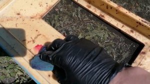 Очистка ППУ улья после зимовки.