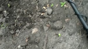 ПЕРВЫЙ КОП С Garrett Vortex VX9!!!ПЕРВЫЕ ВПЕЧАТЛЕНИЯ О ПРИБОРЕ !!!!КОП НА СТАРОМ СЕЛЕ!!!