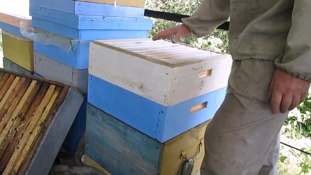 Главный медосбор. Как заставить пчел производить мед ?