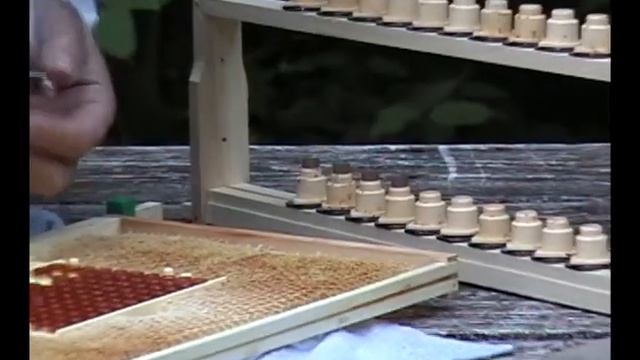 Система Нікот відео інструкція (Nicot для виведення мато смотреть онлайн