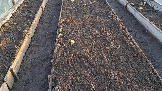 Подготовка теплицы осенью. Дезинфекция вспашка запра? смотреть онлайн