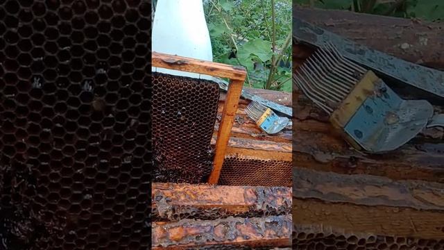 сахар в законе? - или всё таки нет и причем тут Кашковск