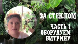 ЗА СТЕКЛОМ. Оборудую витрину для растений. 10-09-2025
