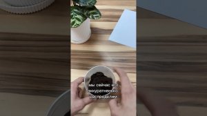 Скарификация семян. Каким семенам нужна скарификация?