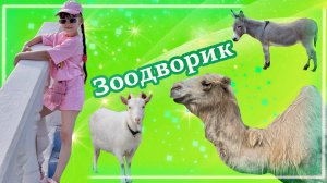 Кормлю животных в маленьком зоопарке Зоодворик в парке Гидростроитель #зоодворик #гидростроитель