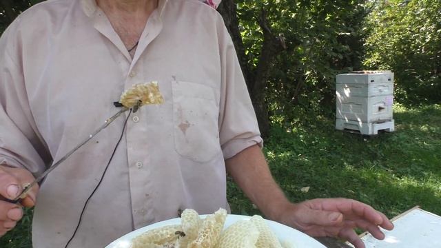 КАК ОПРЕДЕЛИТЬ НАТУРАЛЬНЫЙ МЁД НА  ВКУС