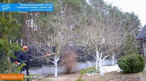 СЕКРЕТ ОБРЕЗКИ ЯБЛОНИ И ГРУШИ | КАК ПРАВИЛЬНО ? | ЗИМА В?