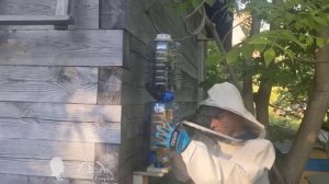 Жжжжбан Адвоката Егорова   бесконтактное пчеловодств?