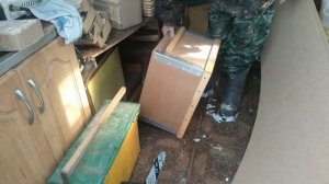 Пчеловодство СССР по учебнику. Алтайские пчеловоды, к?